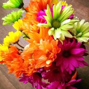 Meet your Posher, Candice